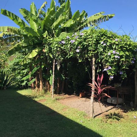 Les Hibiscus Villa Ambondrona  Exterior foto